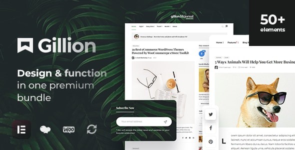 Gillion-WordPress-AMP-Theme-Nulled